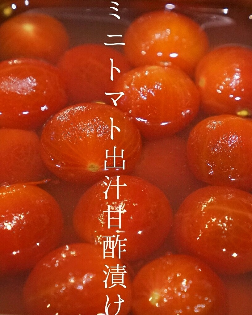 ミニトマト出汁甘酢漬け 一期一会