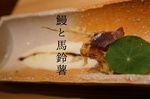 IMG_20170808_104650_576.jpg